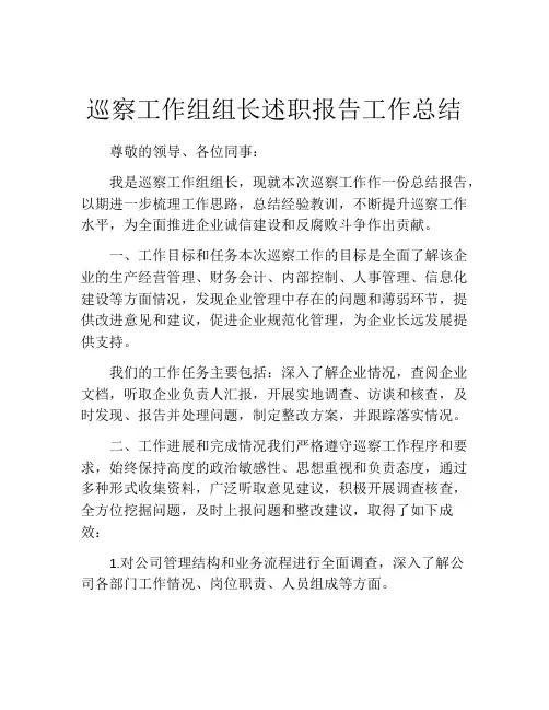 巡察工作组组长述职报告工作总结