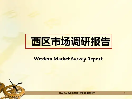 某区市场调研报告PPT(共 67张)