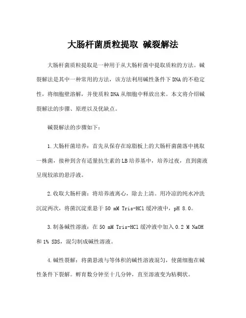大肠杆菌质粒提取 碱裂解法