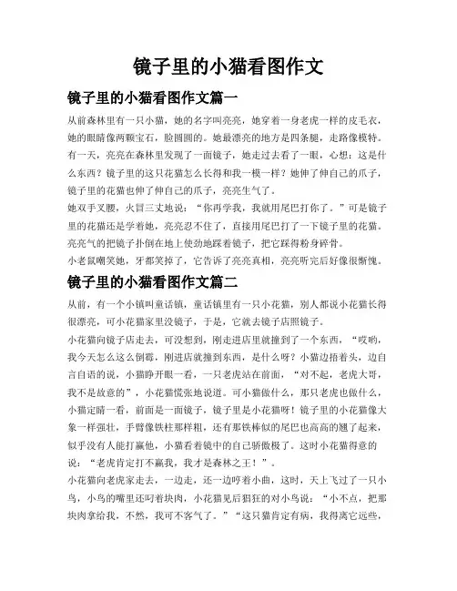 镜子里的小猫看图作文