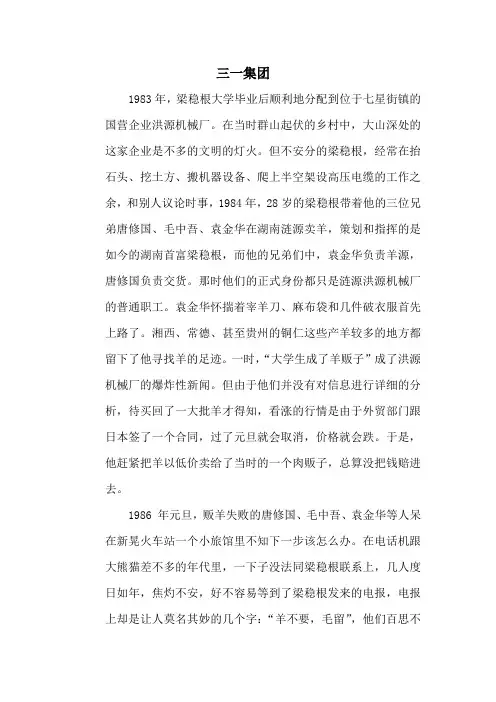 三一集团案例