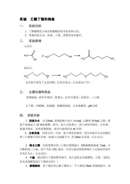 乙酸丁酯的制备