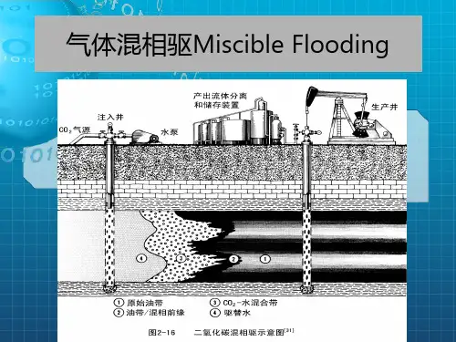 《三次采油技术》PPT课件_OK