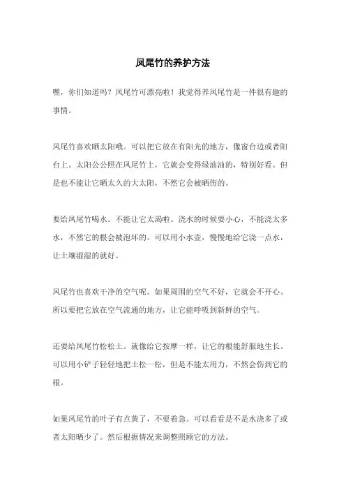 凤尾竹的养护方法