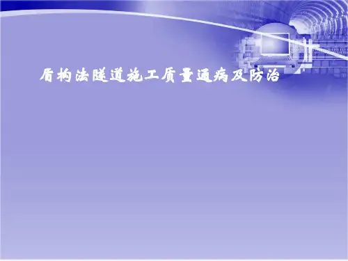 隧道盾构施工中各种质量通病及防治措施详解92页(知名企业)_ppt