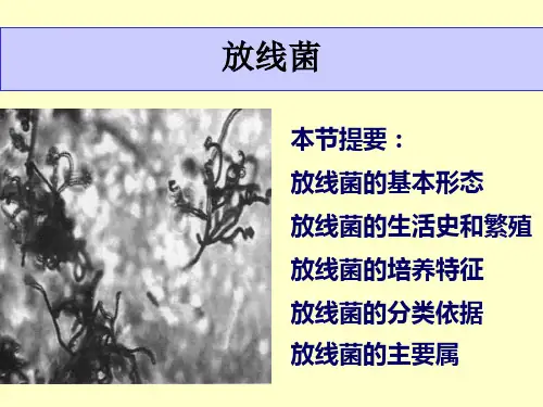放线菌的介绍及与细菌的详细比较