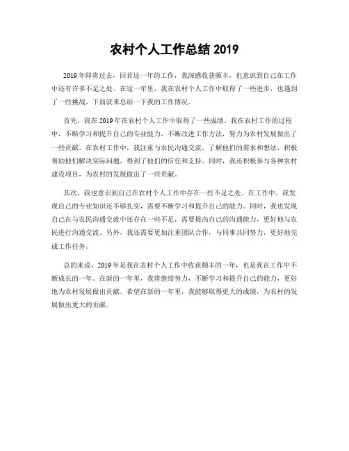 农村个人工作总结2019