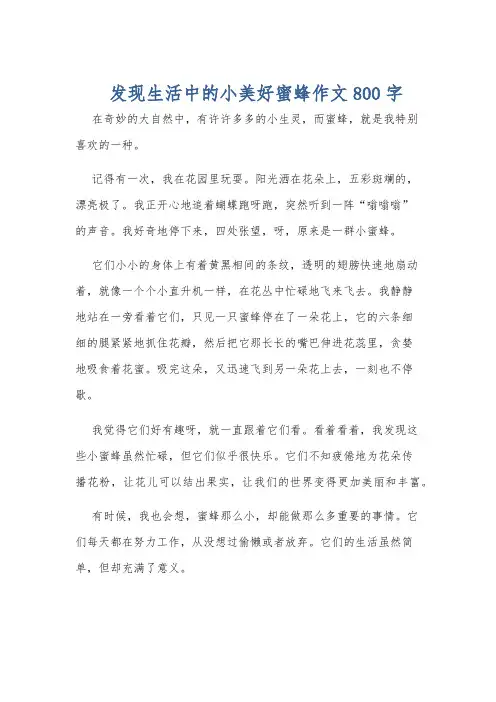 发现生活中的小美好蜜蜂作文800字