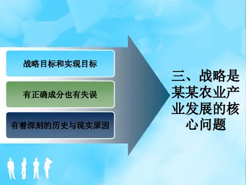 精选企业战略管理作业