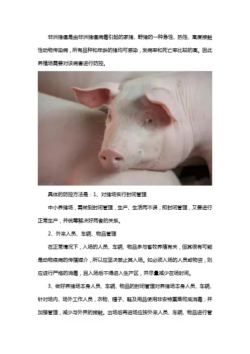 猪场如何防控非洲猪瘟