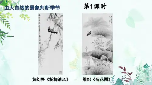 《大自然的语言》ppt课件
