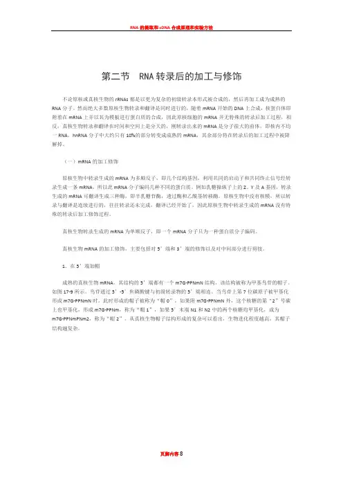 RNA转录后的加工与修饰