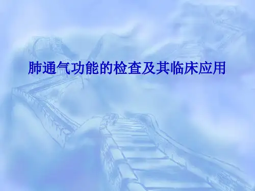肺通气功能的测定