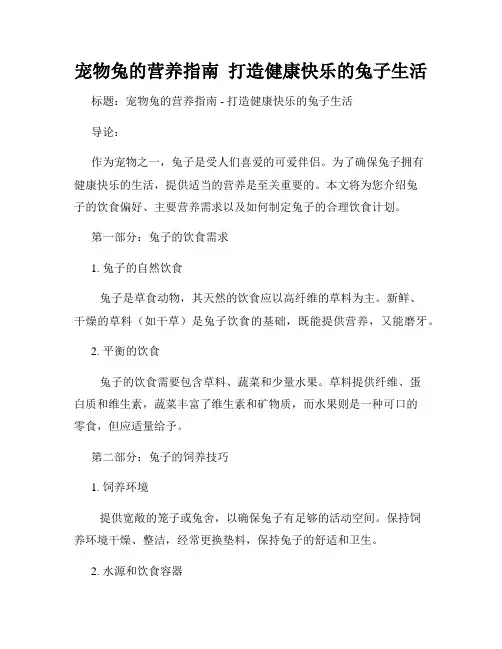 宠物兔的营养指南  打造健康快乐的兔子生活