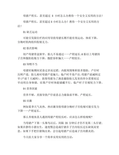 母猪产程长,甚至超过8小时怎么办教你一个安全又实用的方法!