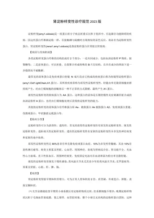 肾病科肾淀粉样变性诊疗规范2023版