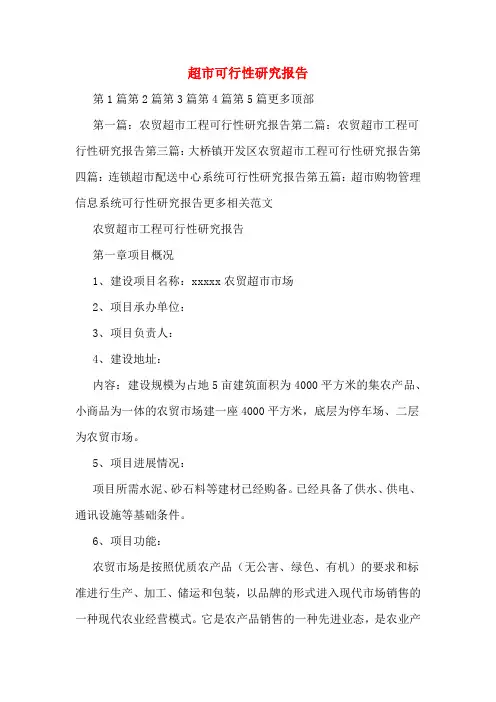 超市可行性研究报告