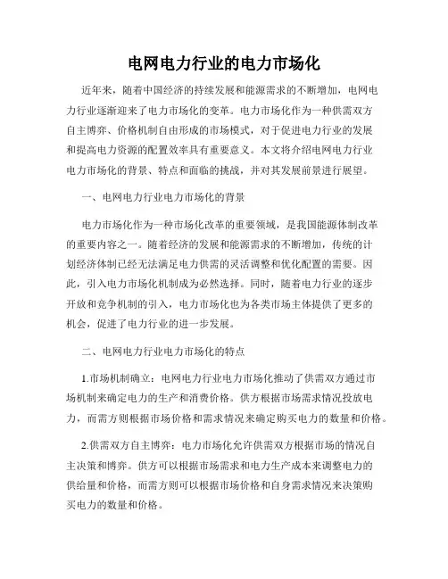 电网电力行业的电力市场化
