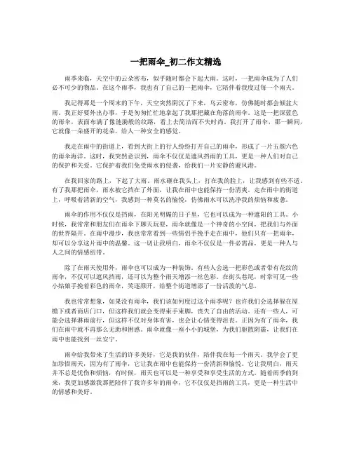 一把雨伞_初二作文精选