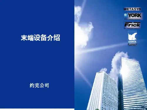 约克末端设备介绍