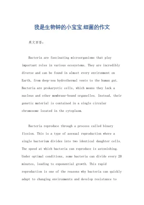 我是生物钟的小宝宝.细菌的作文