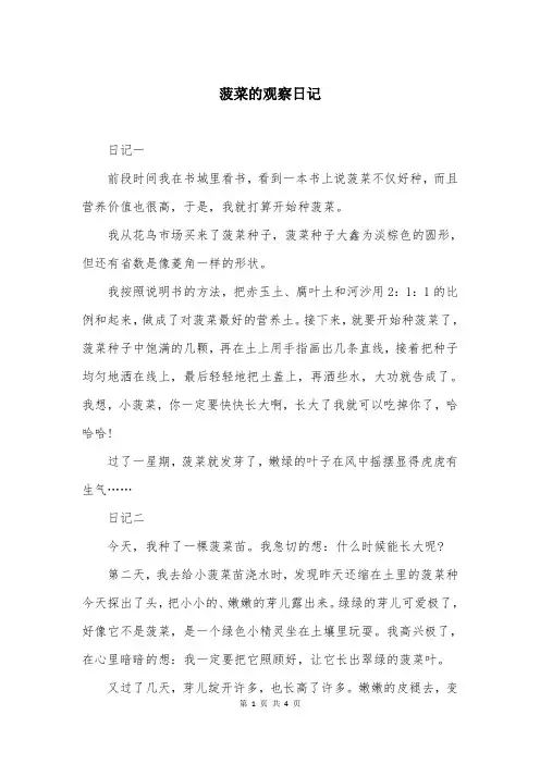 菠菜的观察日记