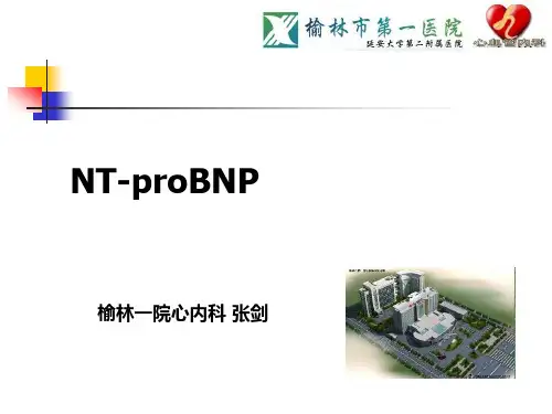 NT-proBNP 心内科PPT课件