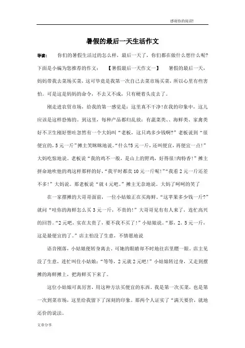 暑假的最后一天生活作文