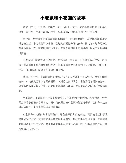 小老鼠和小花猫的故事