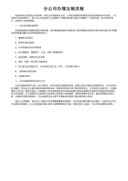 分公司办理注销流程