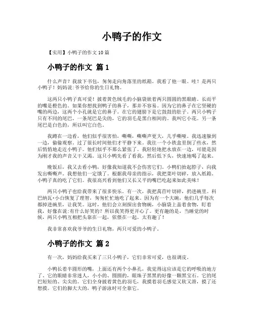 小鸭子的作文