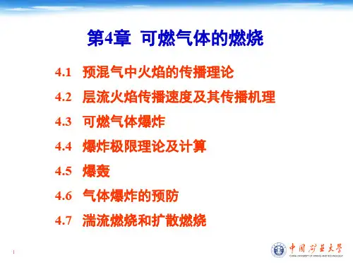 第 4 章  可燃气体燃烧