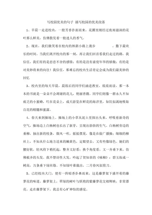 写校园优美的句子描写校园的优美段落