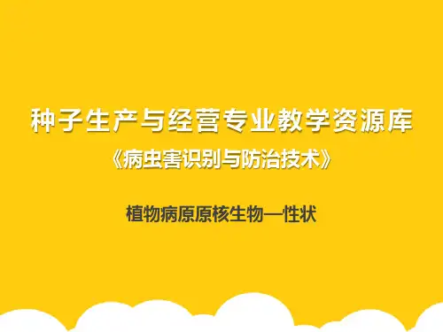 植物病原原核生物—性状ppt实用资料