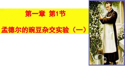 孟德尔的豌豆杂交实验(一) 优质课