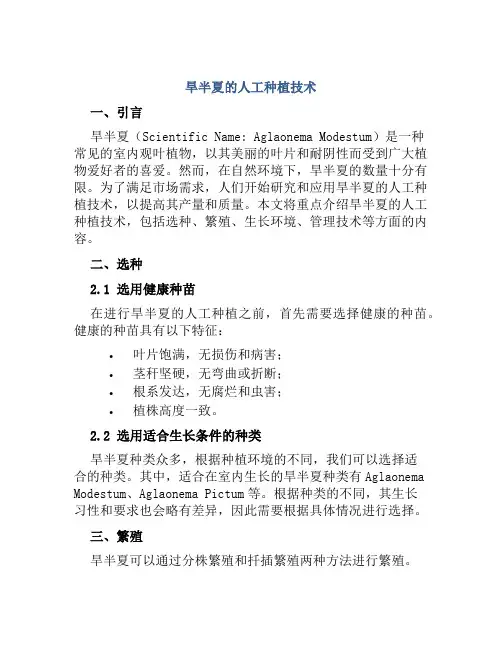 旱半夏的人工种植技术