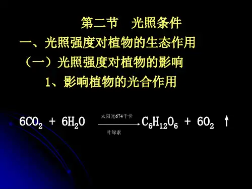 植物地理 光照条件
