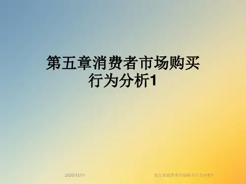 第五章消费者市场购买行为分析1