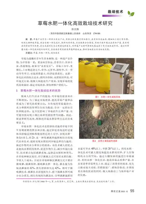 草莓水肥一体化高效栽培技术研究