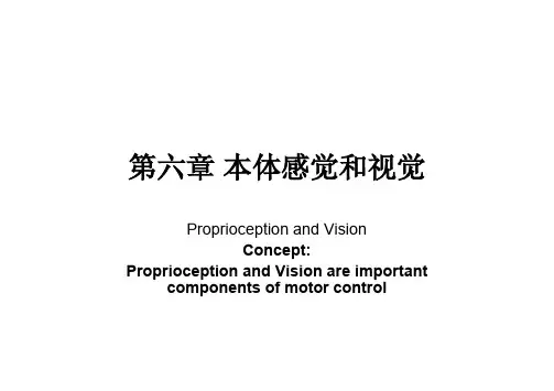 运动技能的学习与控制第六章