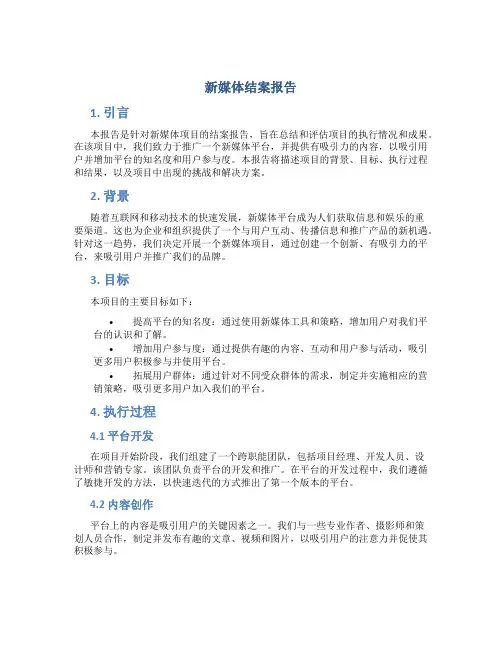 新媒体结案报告