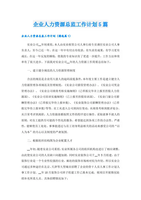 企业人力资源总监工作计划5篇