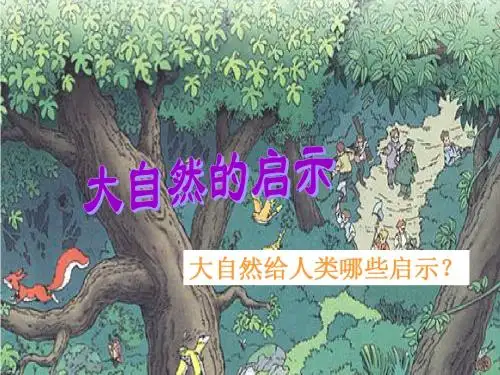 人教版小学四年级下册语文12大自然的启示ppt课件3