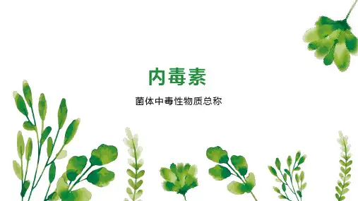 内毒素    