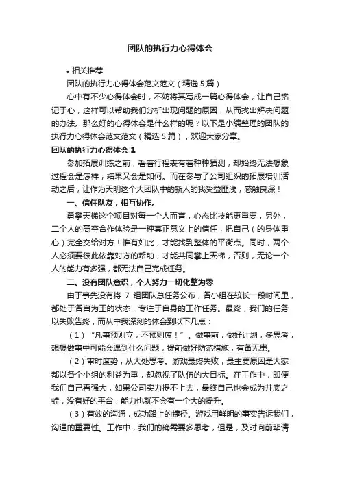 团队的执行力心得体会