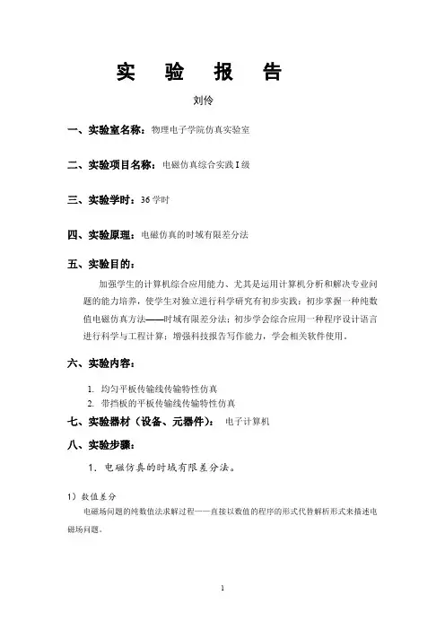 电磁仿真时域有限差分法初步应用实验报告
