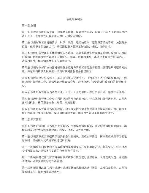 镇级财务制度
