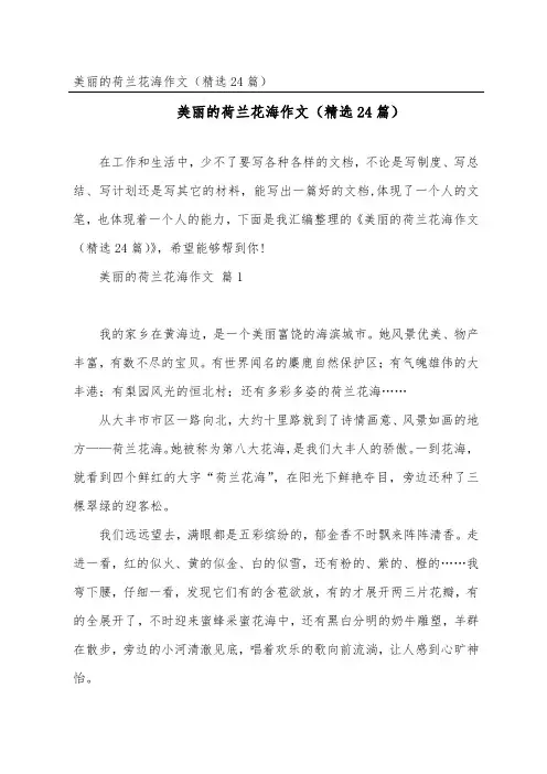 美丽的荷兰花海作文(24篇)