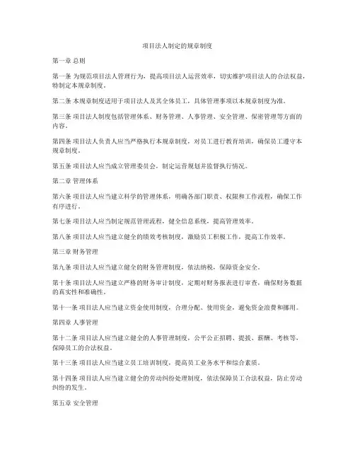 项目法人制定的规章制度