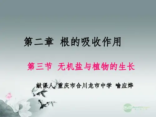 八年级生物上册《无机盐与植物的生长》精。--冀教版ppt课件